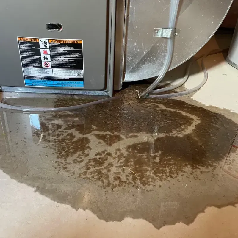 Appliance Leak Cleanup in Fairview, NJ